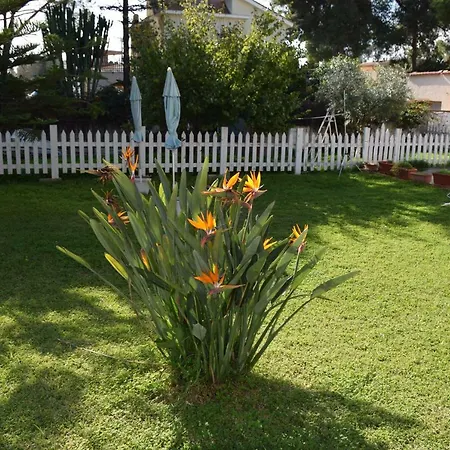 Azzurro Mare Bed and Breakfast *